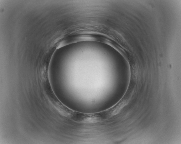 X0000080120364200612081258