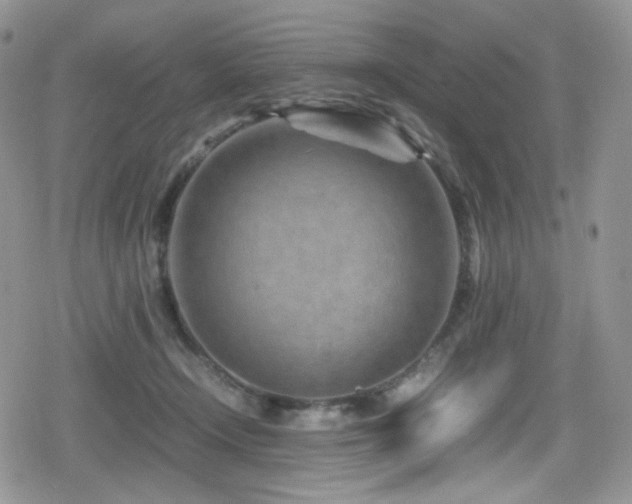 X0000080120366200612081258