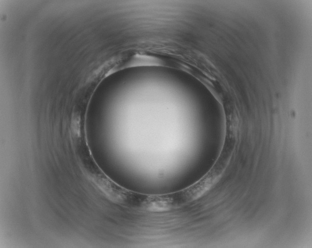 X0000080120368200612081258