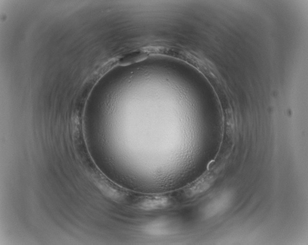 X0000080120369200612081258