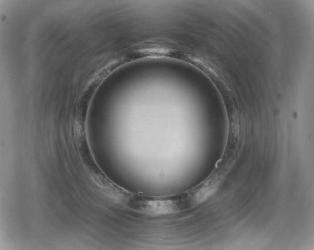 X0000080120371200612081258