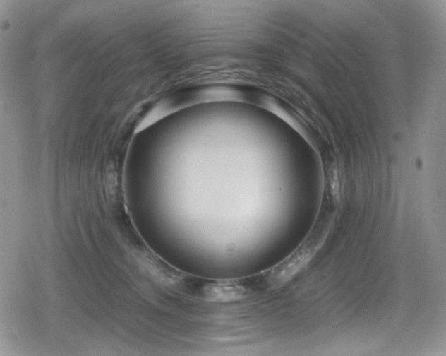 X0000080120372200612081258