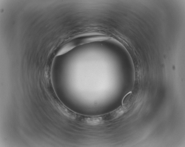 X0000080120373200612081258