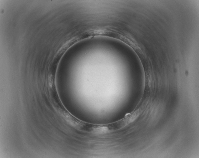 X0000080120374200612081258