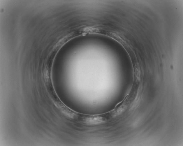 X0000080120375200612081258