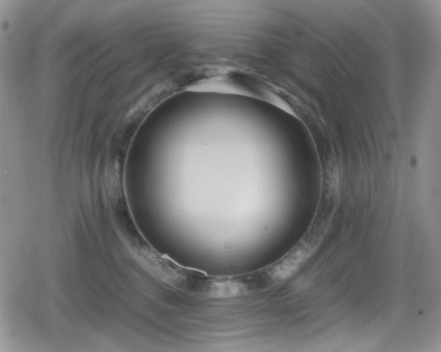 X0000080120376200612081258
