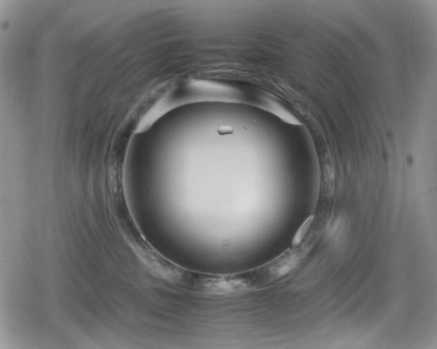 X0000080120379200612081258