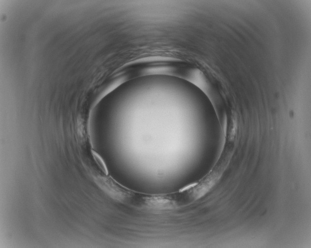 X0000080120380200612081258