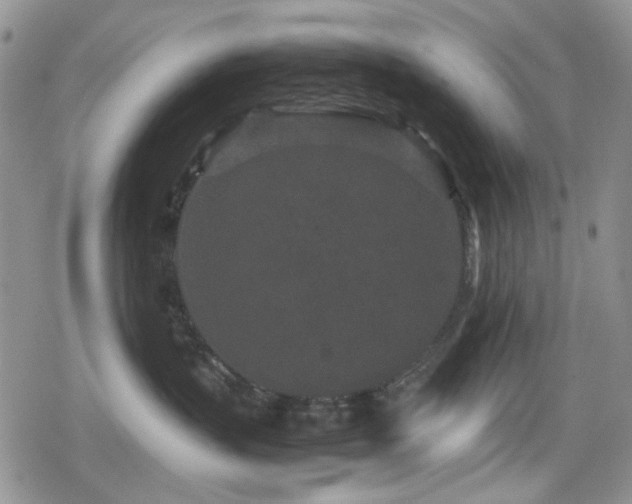 X0000080120383200612081258