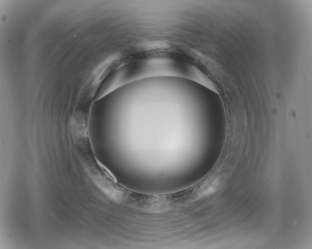 X0000080120384200612081258
