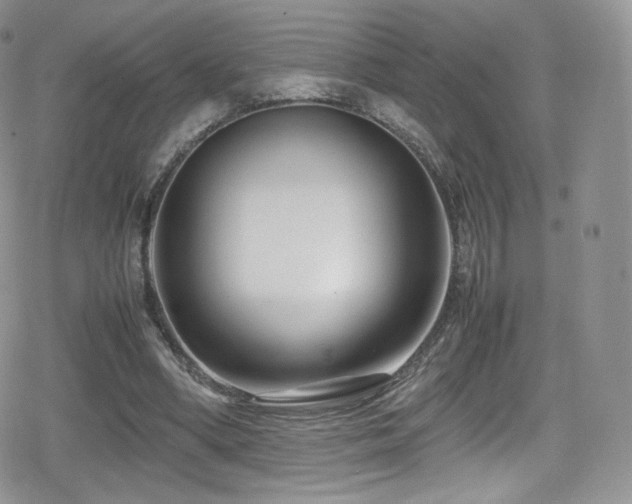 X0000080120394200612081257