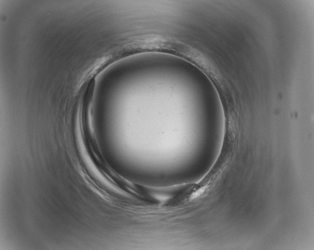X0000080120397200612081257