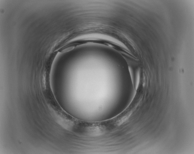 X0000080120404200612081257
