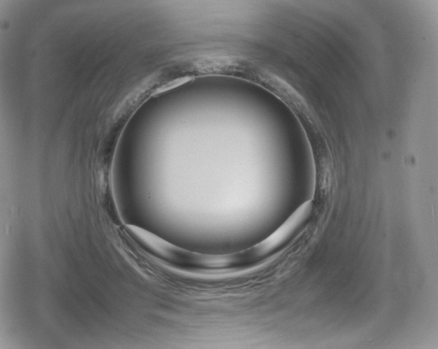 X0000080120405200612081257