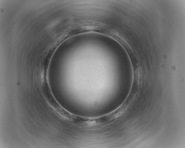 X0000080120406200612081257