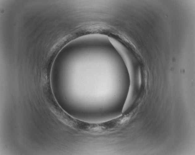 X0000080120407200612081257