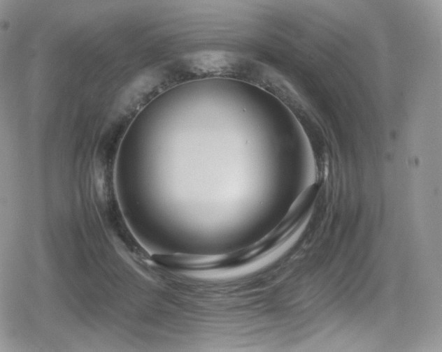 X0000080120408200612081257