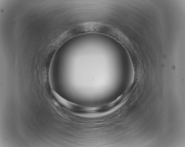 X0000080120413200612081257