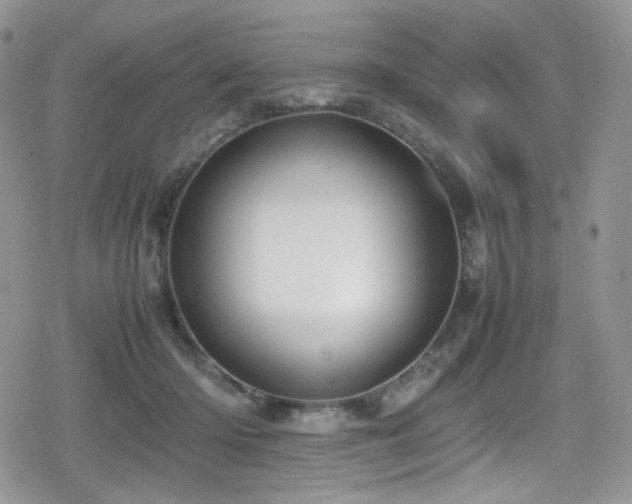 X0000080120414200612081257