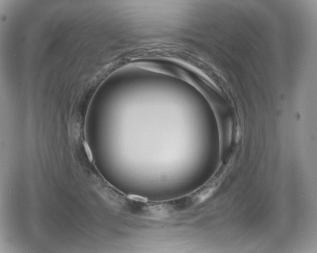 X0000080120417200612081257