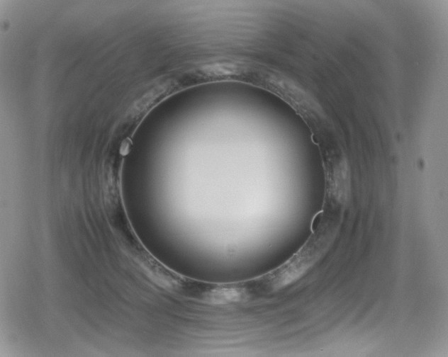 X0000080120418200612081257