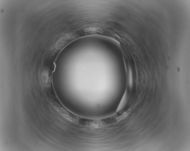 X0000080120420200612081257