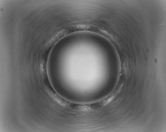 X0000080120424200612081257