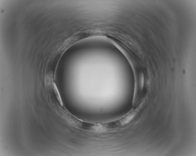 X0000080120425200612081257
