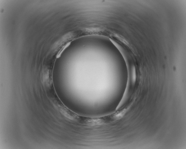 X0000080120428200612081257