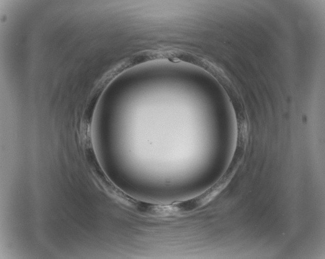 X0000080120429200612081257