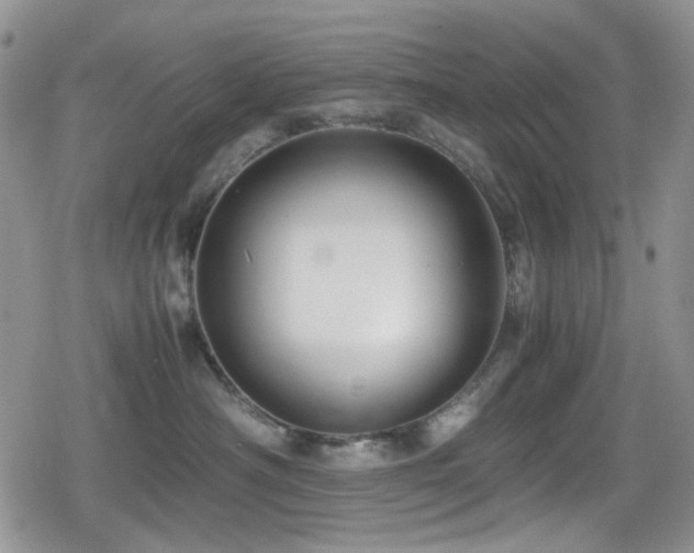 X0000080120430200612081256