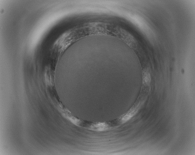 X0000080120431200612081256