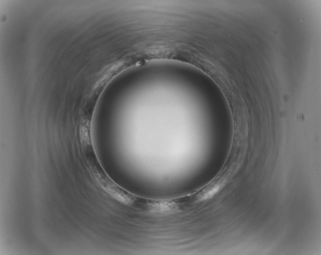 X0000080120432200612081256