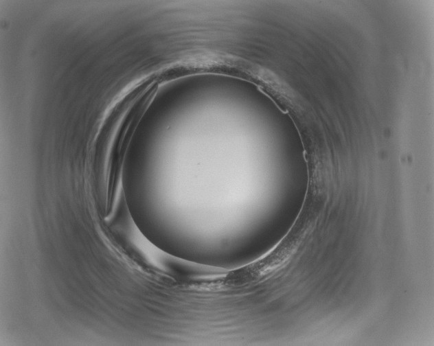 X0000080120440200612081256