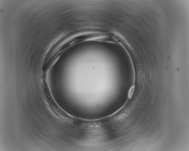 X0000080120443200612081256
