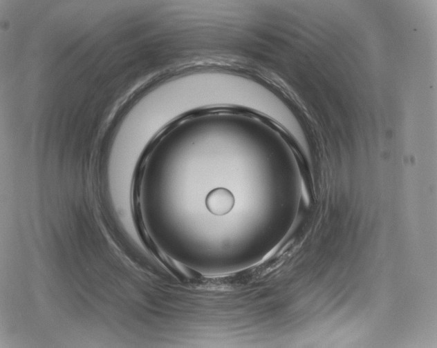 X0000080120444200612081256