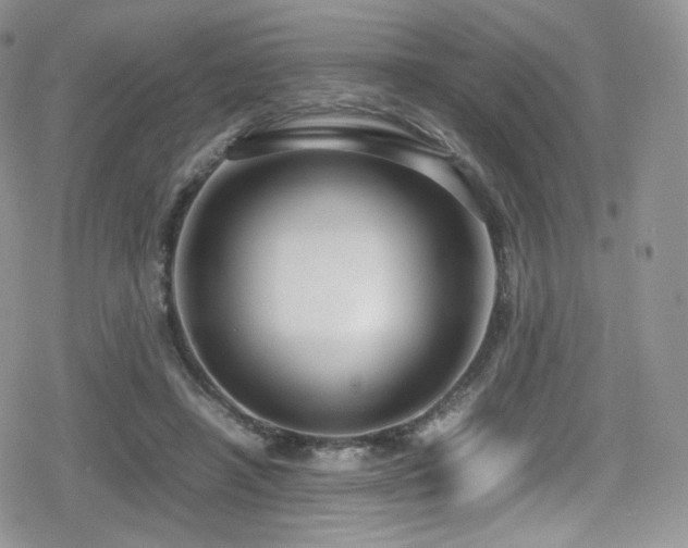 X0000080120450200612081256