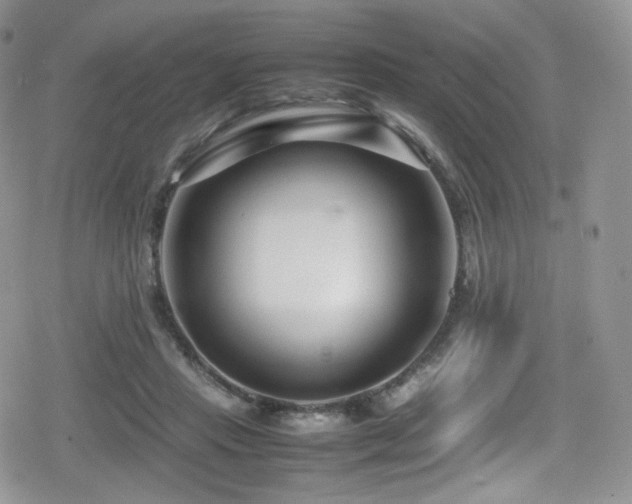 X0000080120453200612081256