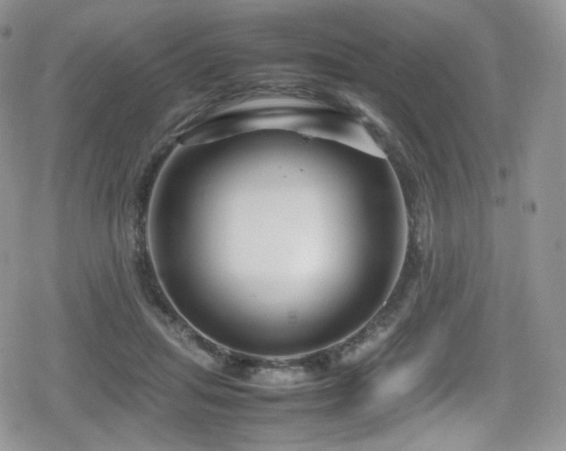 X0000080120455200612081256