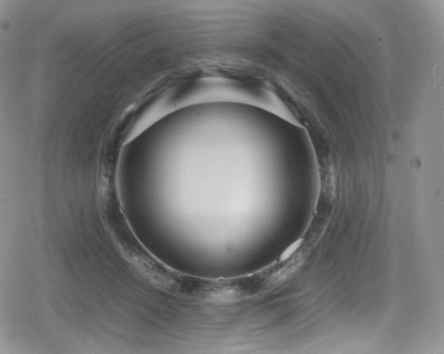 X0000080120456200612081256