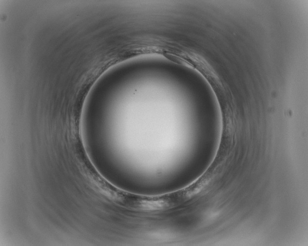 X0000080120457200612081256
