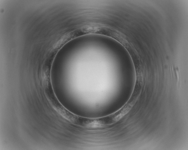 X0000080120460200612081256