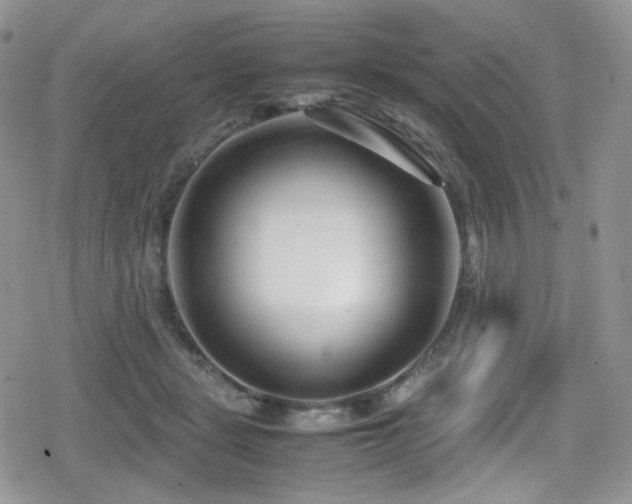 X0000080120461200612081256