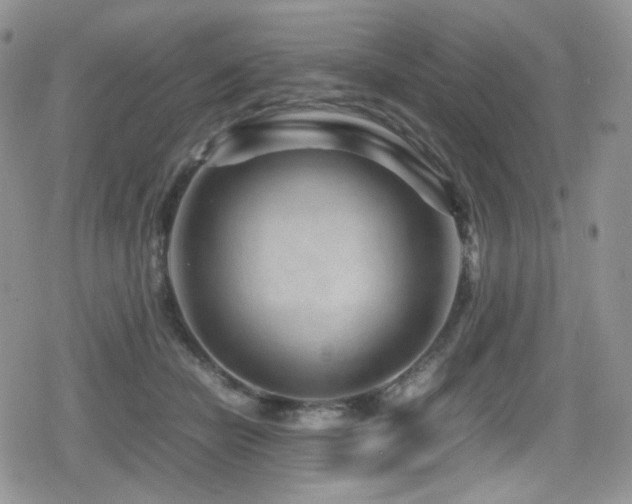 X0000080120462200612081256