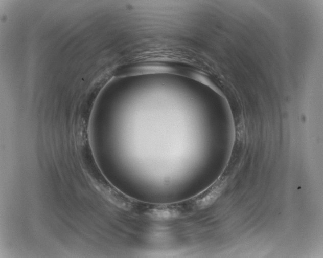 X0000080120464200612081256