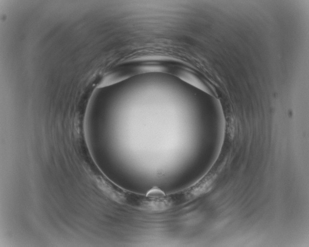 X0000080120466200612081256