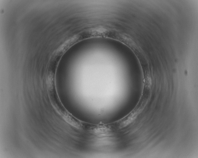 X0000080120468200612081256