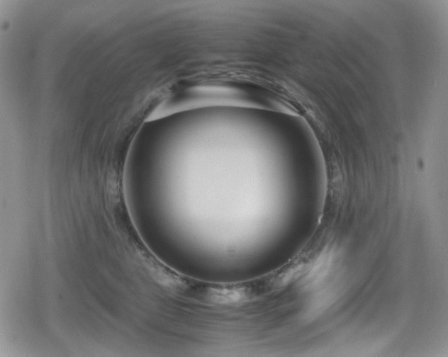 X0000080120469200612081256