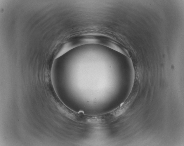 X0000080120470200612081256