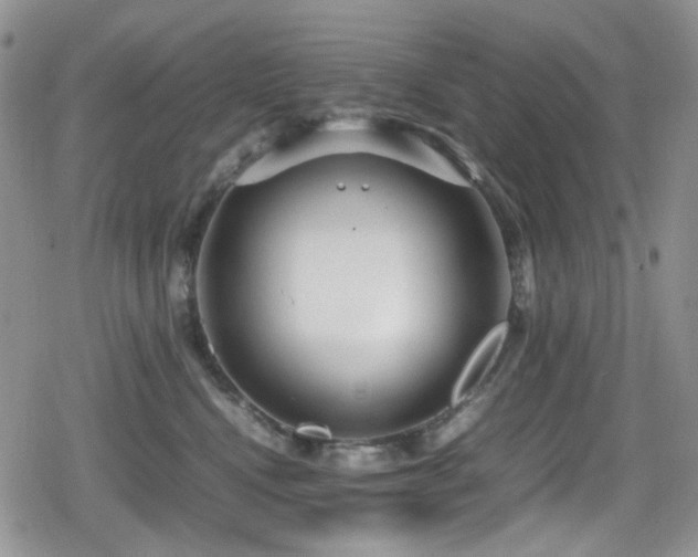 X0000080120472200612081256